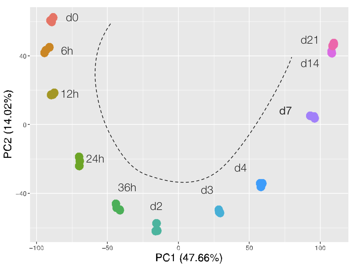 ioCells precision reprogramming is highly consisntent between lots