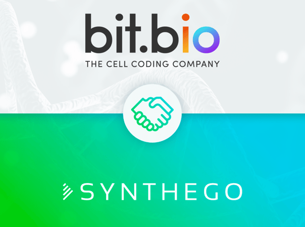 Synthego and bit.bio expand strategic partnership