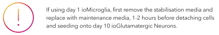 If using D1 ioMicroglia, remove the stabilisation media and replace with maintenance media 1-2 hours before seeding onto D10 ioGlutamatergic Neurons.