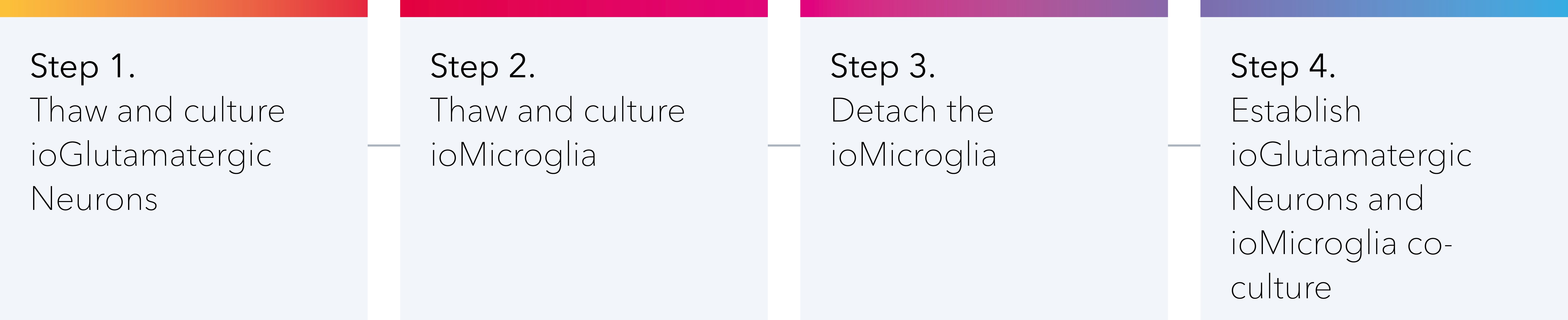 Workflow depicting the steps in the protocol to establish a co-culture of ioGlutamatergic Neurons and ioMicroglia.