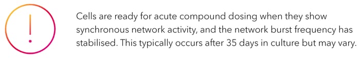 Cells are ready for compound dosing when they show synchronous network activity and network burst frequency has stabilised. This occurs after 35 days.