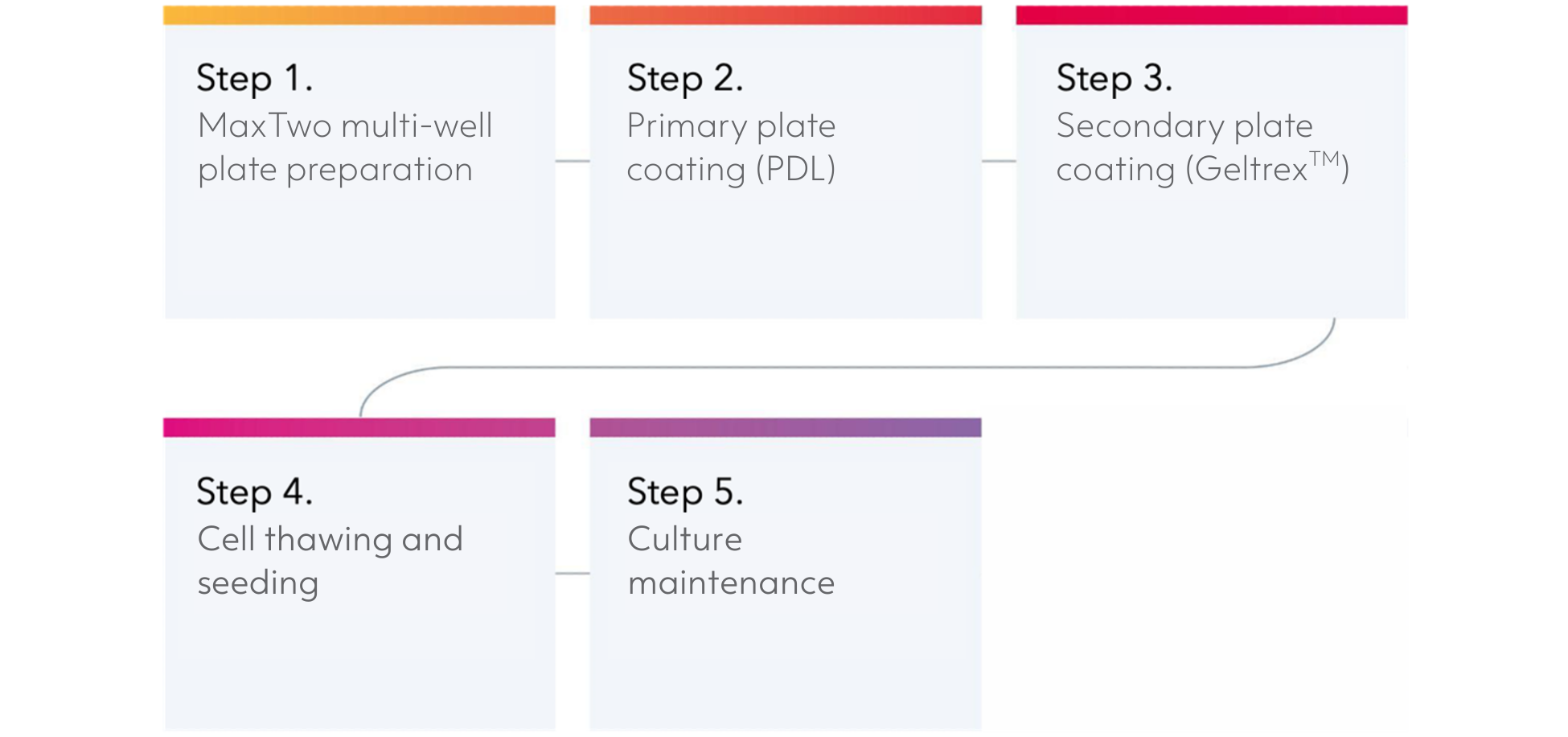 ioGluts_astro_MEA_steps