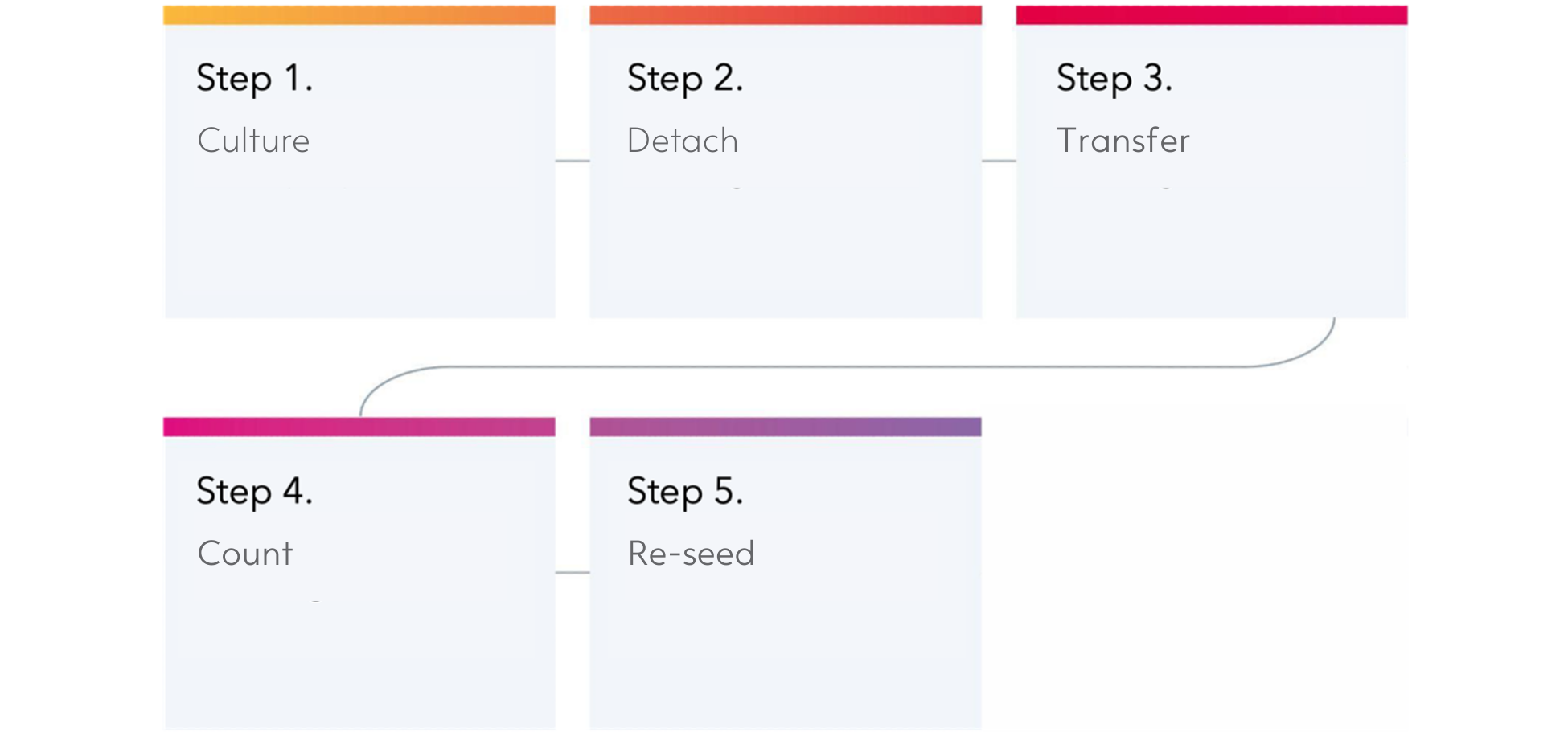 steps MG detachment protocol