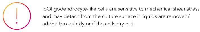 Alert: ioOligodendrocyte-like cells are sensitive to mechanical shear stress.