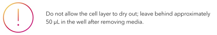Do not allow the cell layer to dry out; leave behind approximately 50 μL in the well after removing media.