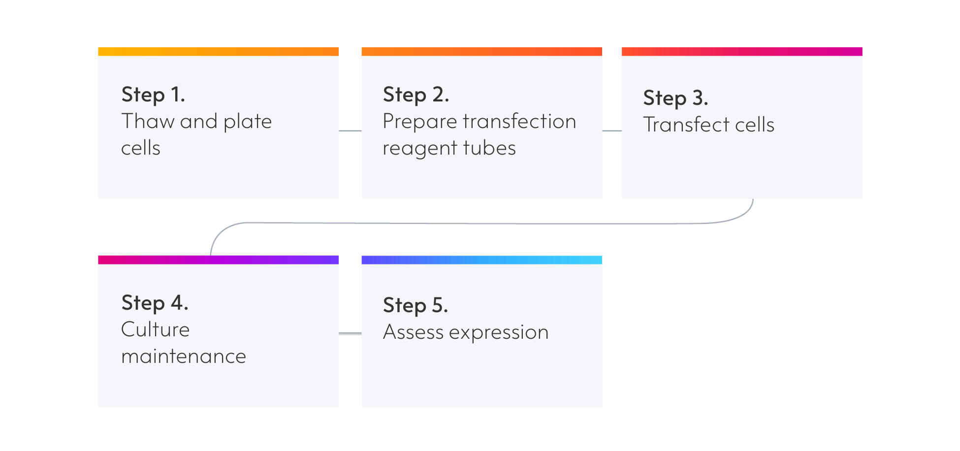 bit.bio-mRNA-transfection-ioGluts-steps