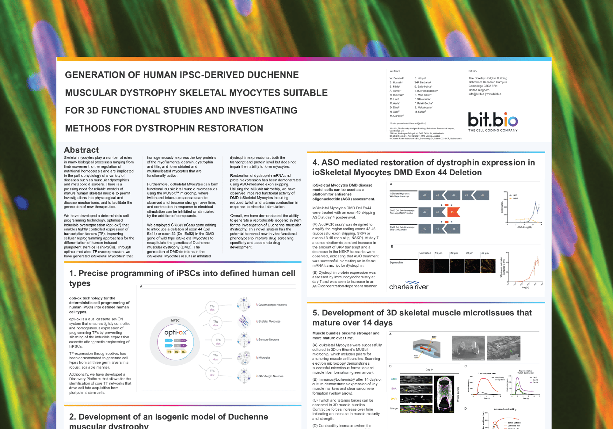 DMD-ioSkeletal-Myocytes-poster