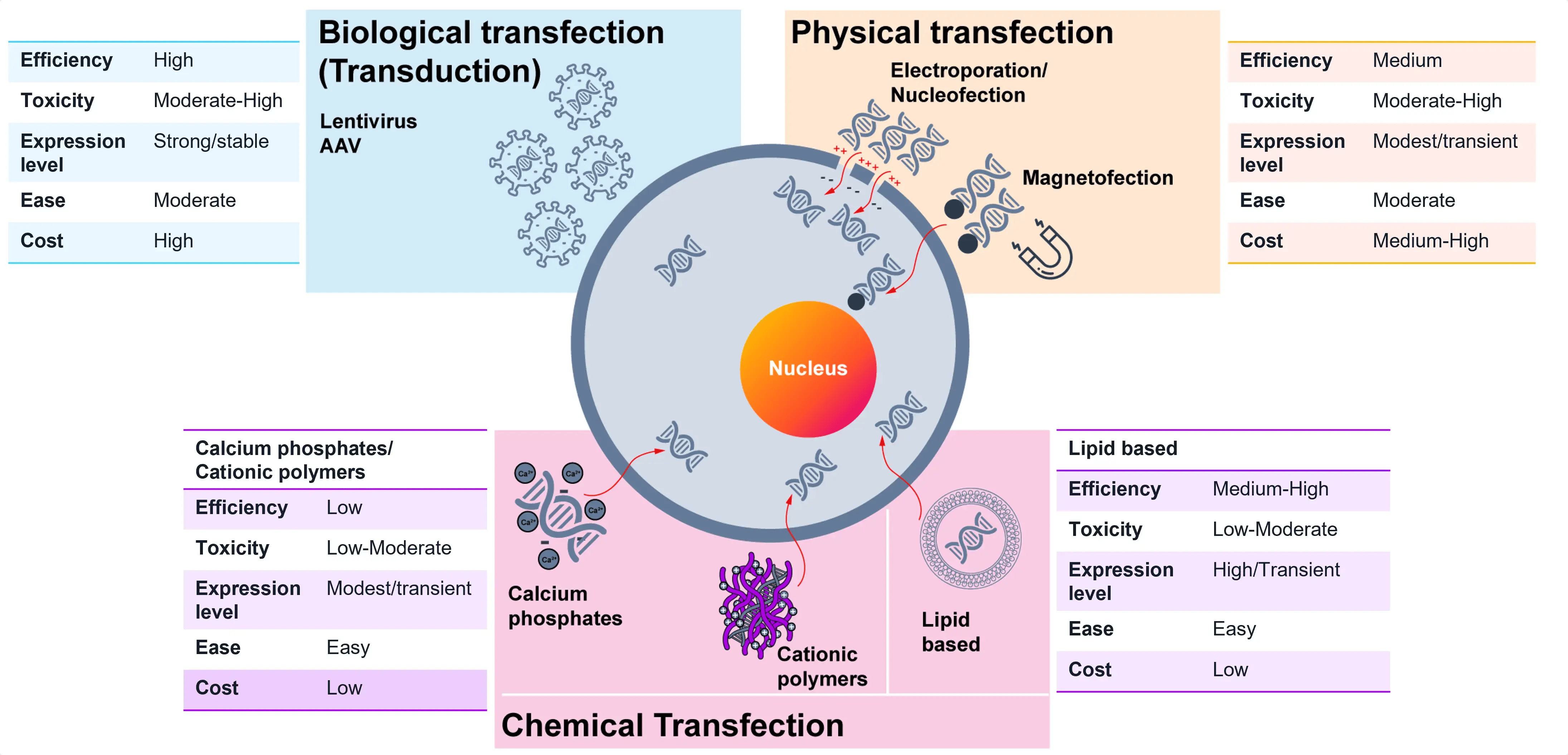 Transfection_methods_overview_chart