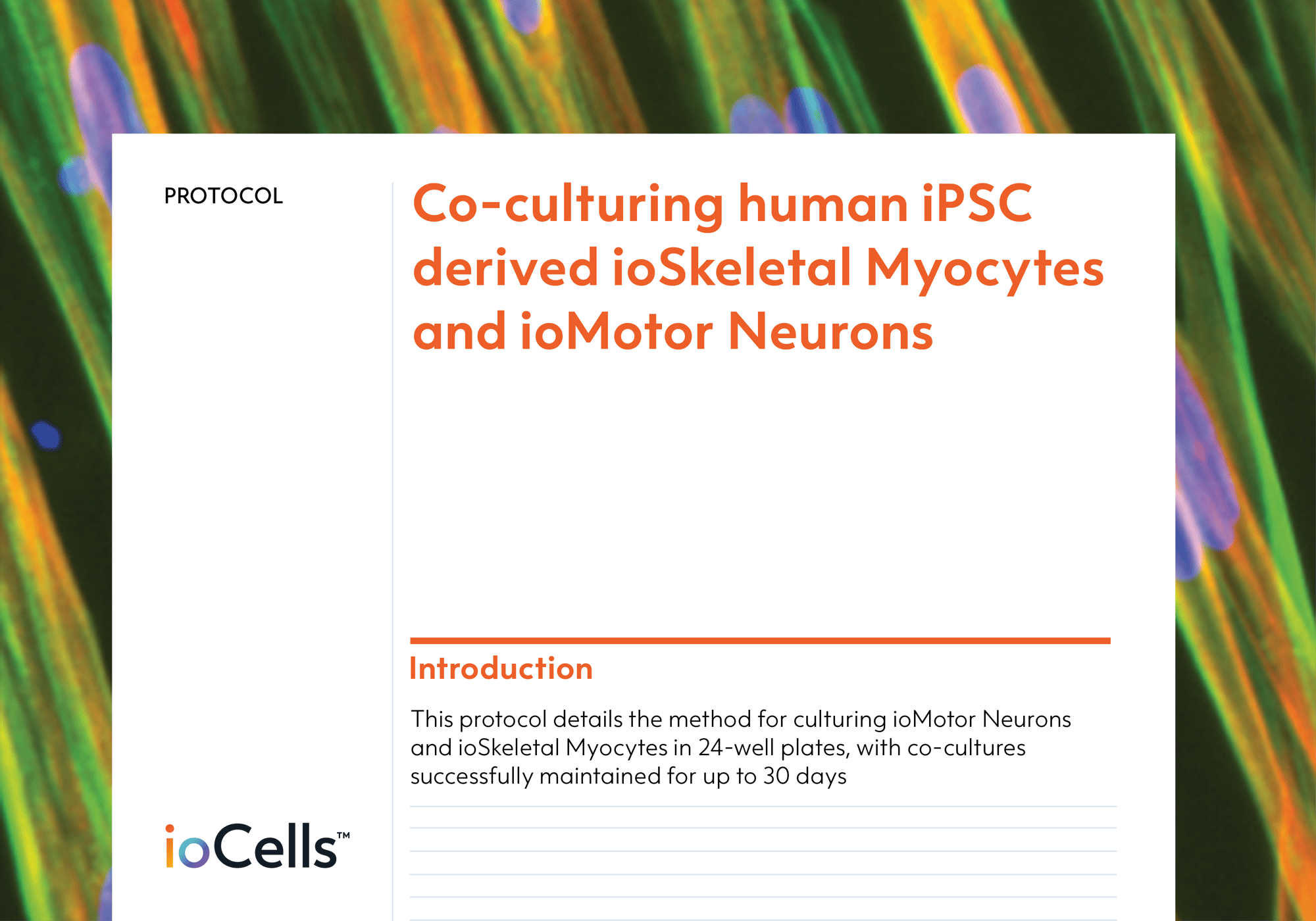 ioSkeletal-Myocytes-Co-culture-protocol-preview