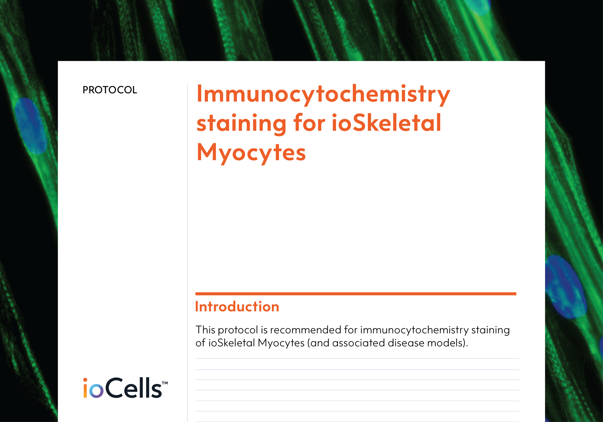 ioSkeletal-Myocytes-Immunocytochemistry-Protocol-preview