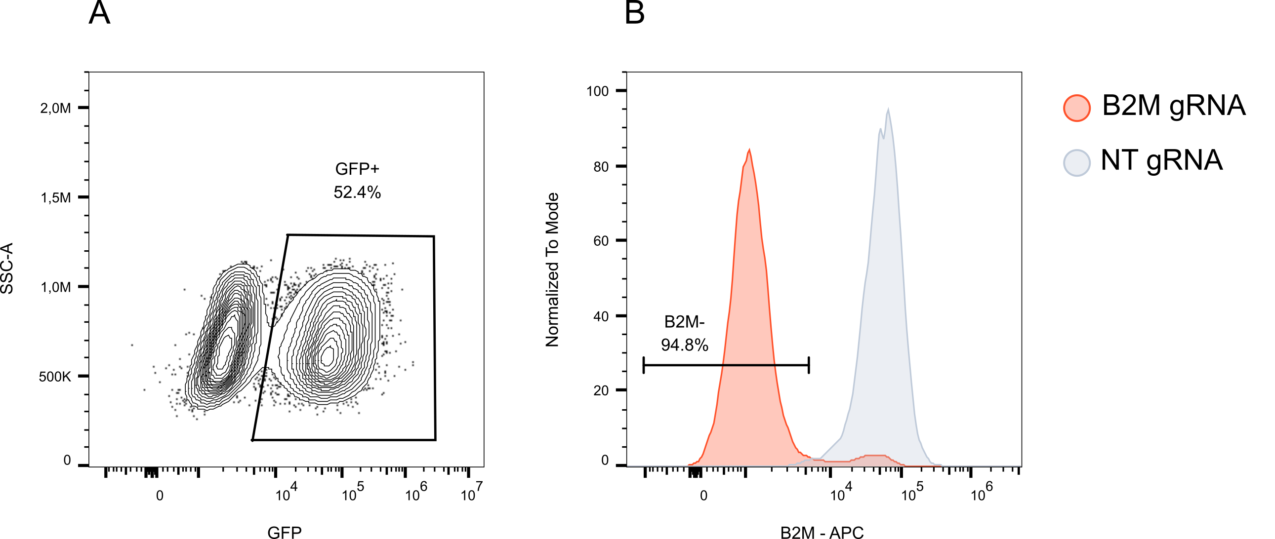 Flow cytometry analysis of B2M protein expression in CRISPRko-Ready Oligodendrocyte-like cells after delivery of a guide RNA (gRNA) targeting B2M.