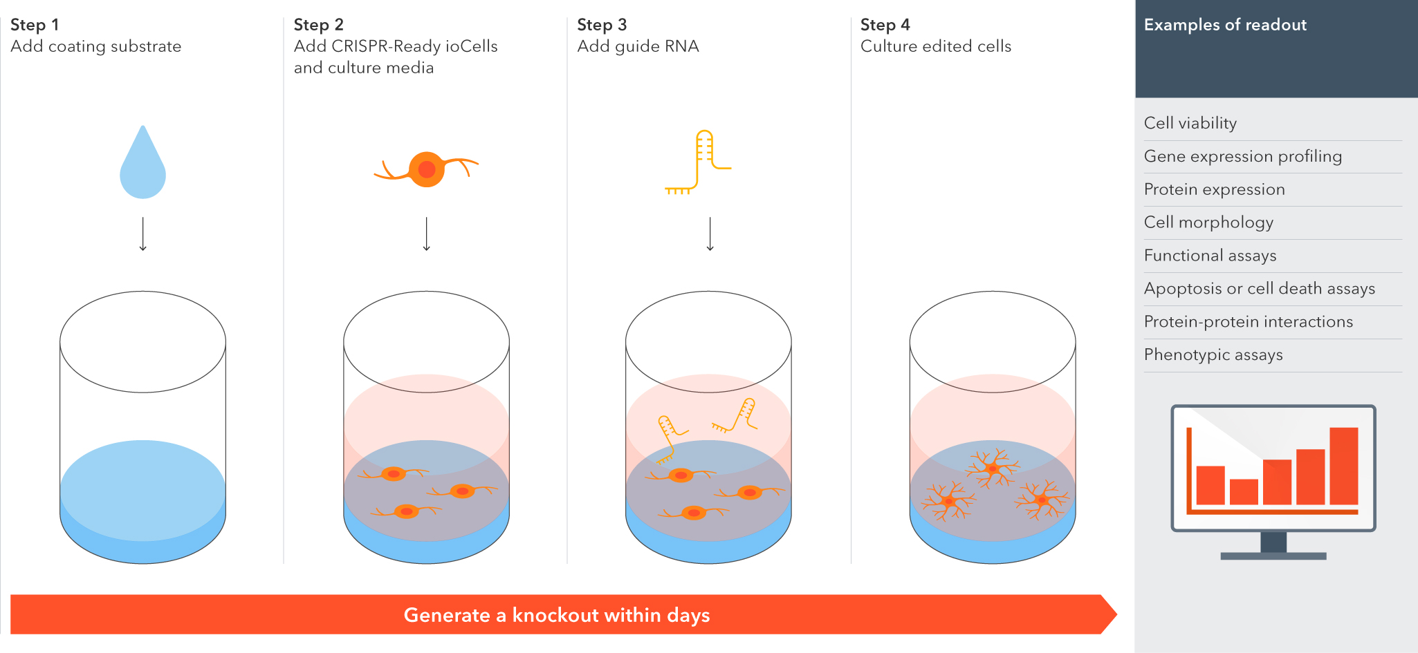 Workflow schematics of the use of CRISPR knockout oligodendroglial cells
