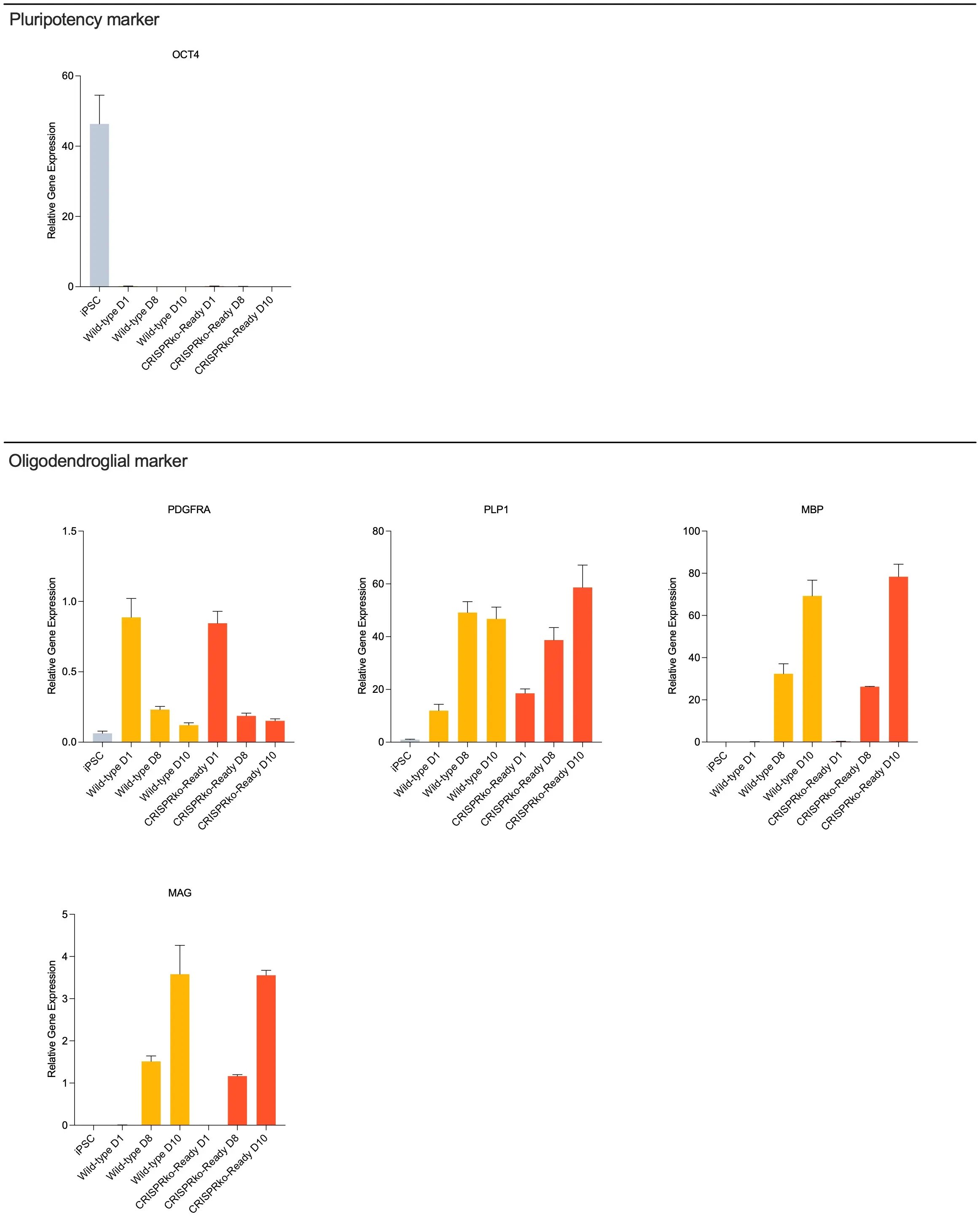 RT-qPCR for key mature oligodendrocyte genes in human iPSC-derived oligodendroglial cells