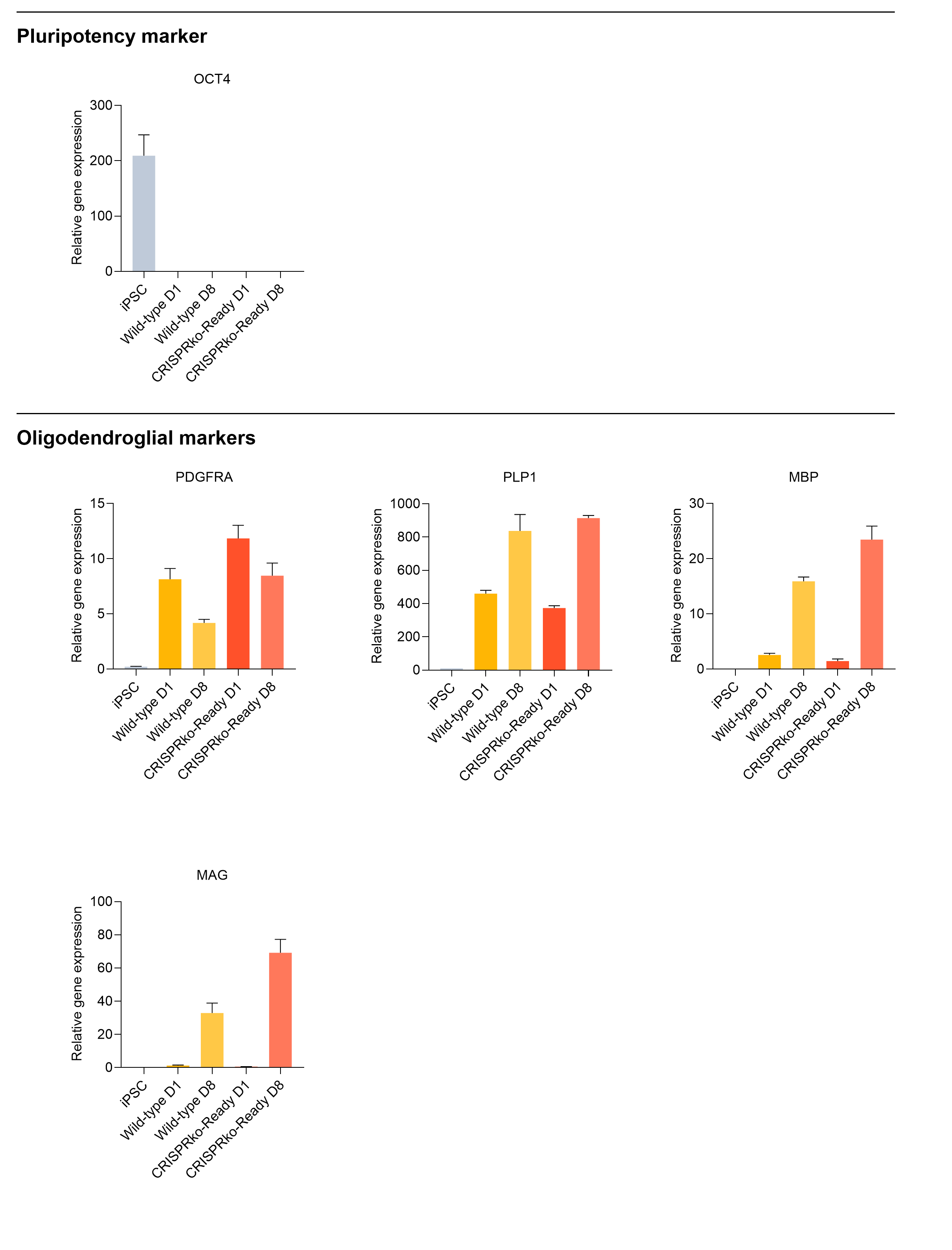 RT-qPCR for key mature oligodendrocyte genes in human iPSC-derived oligodendroglial cells