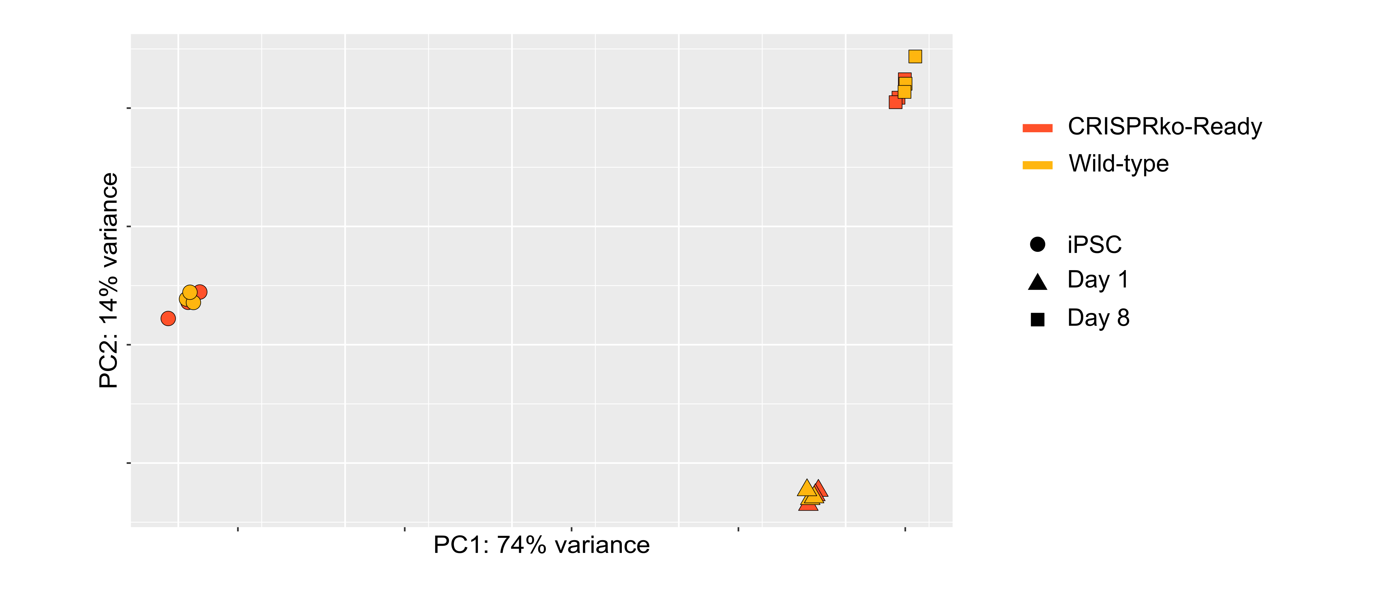 Bulk RNA-seq data demonstrating equivalent results between wild-type and CRISPR knockout oligodendrocyte-like cells.