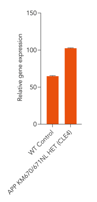 bit.bio APP gene expression in glutamatergic neurons APP KM670/671NL Het Alzheimer's disease model