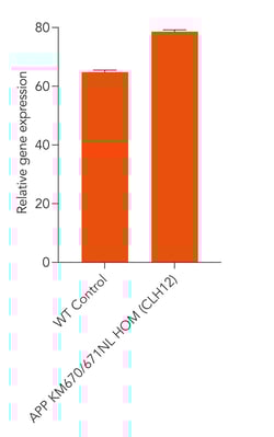 bit.bio APP gene expression in ipsc derived glutamatergic neurons Alzheimer's disease in vitro cell model by RT-qPCR