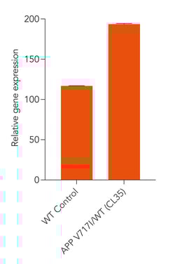 bit.bio APP gene expression in Glutamatergic Neurons APP V717I het Alzheimer's disedase model