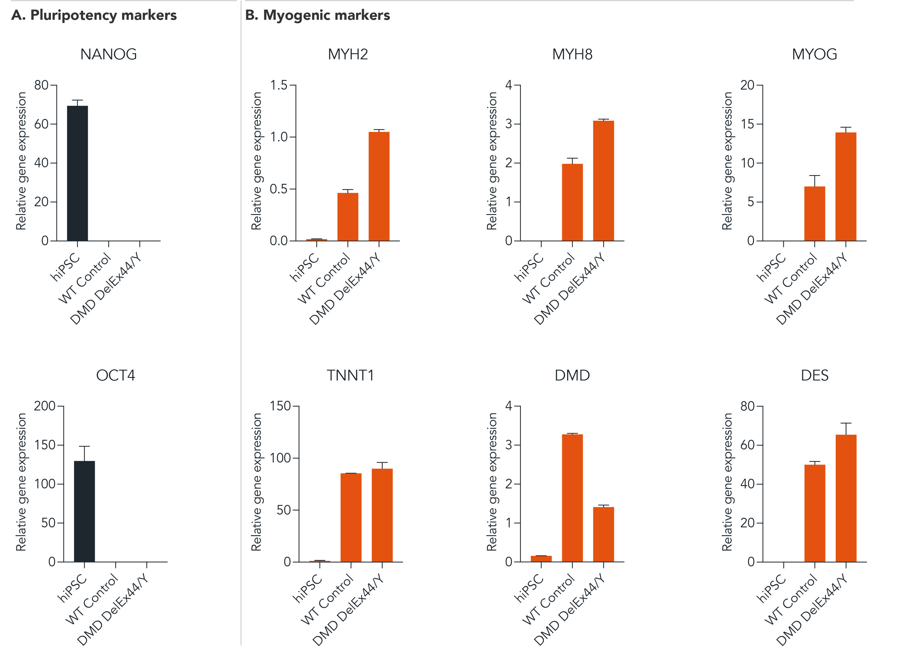  ioSkeletal Myocytes DMD Exon 44 Deletion gene expression of key myogenic markers by RT-qPCR