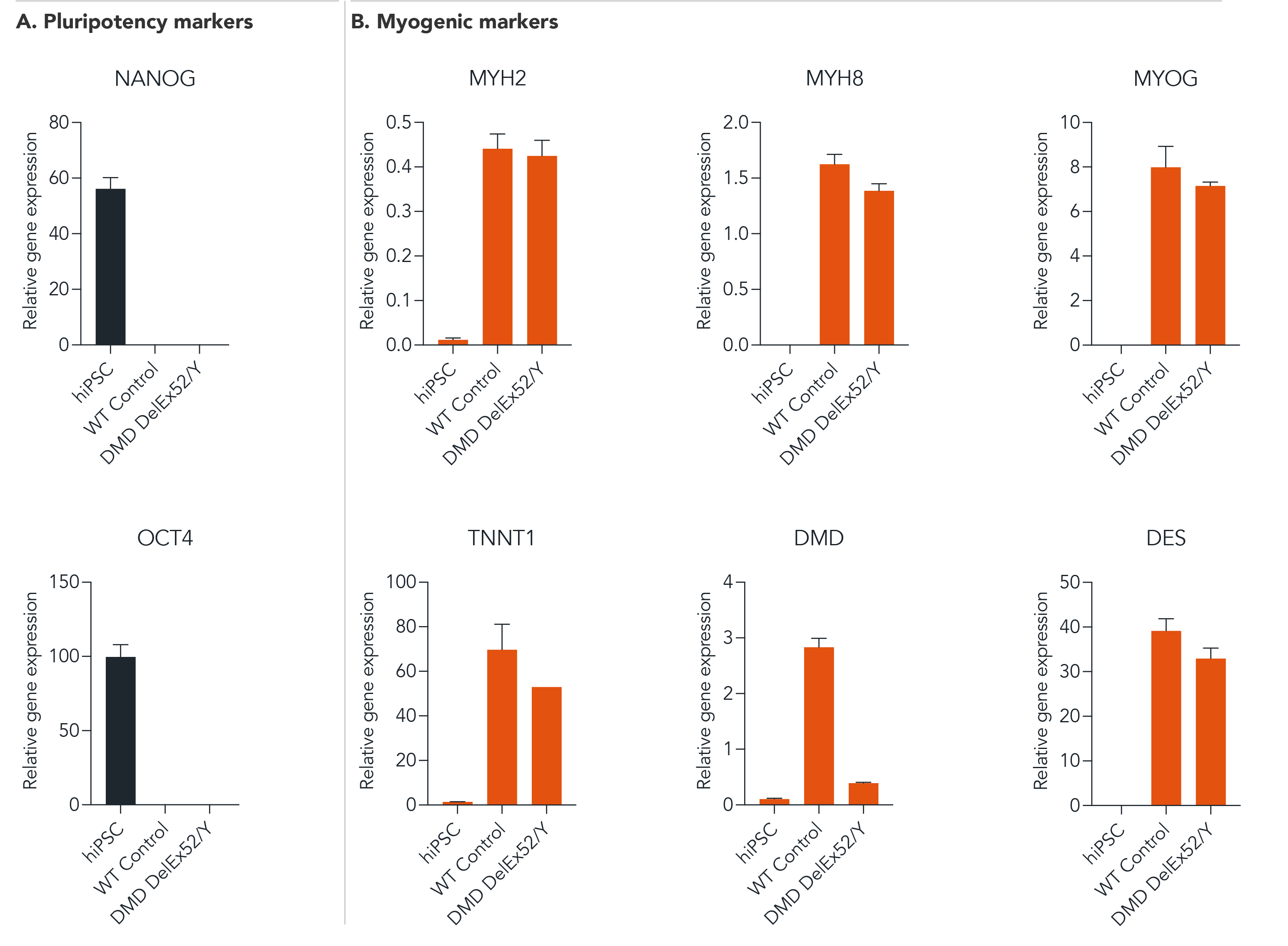 ioSkeletal Myocytes DMD Exon 52 Deletion gene expression of key myogenic markers by RT-qPCR