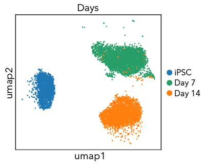 ioGABA UMAP showing expression profiles in a 14 day time course