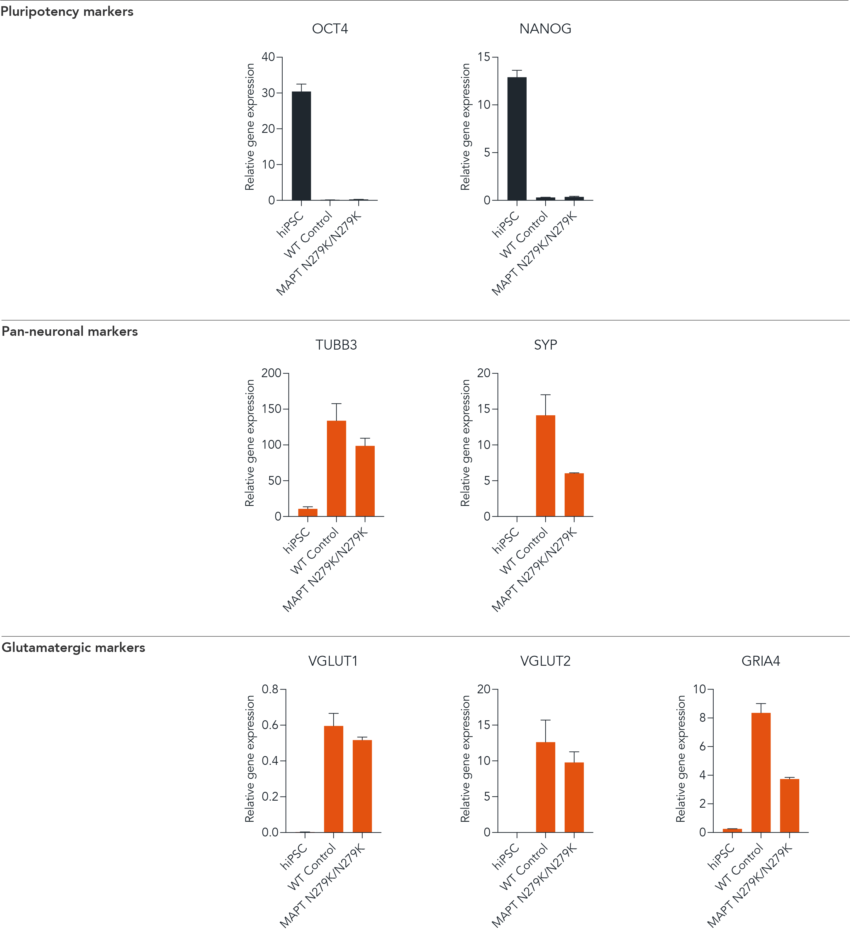ioGlutamatergic Neurons MAPT N279K/N279K key neuronal marker gene expression analysis by RT-qPCR