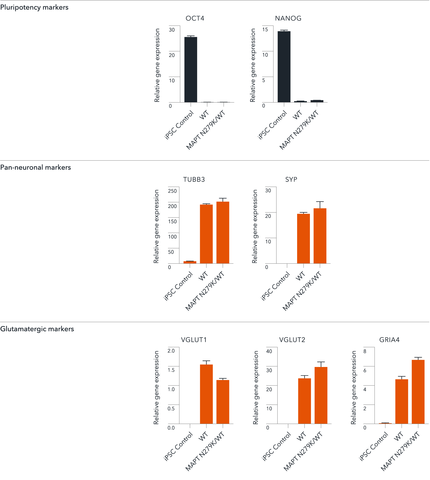 ioGlutamatergic neurons MAPT N279K WT rt-qPCR