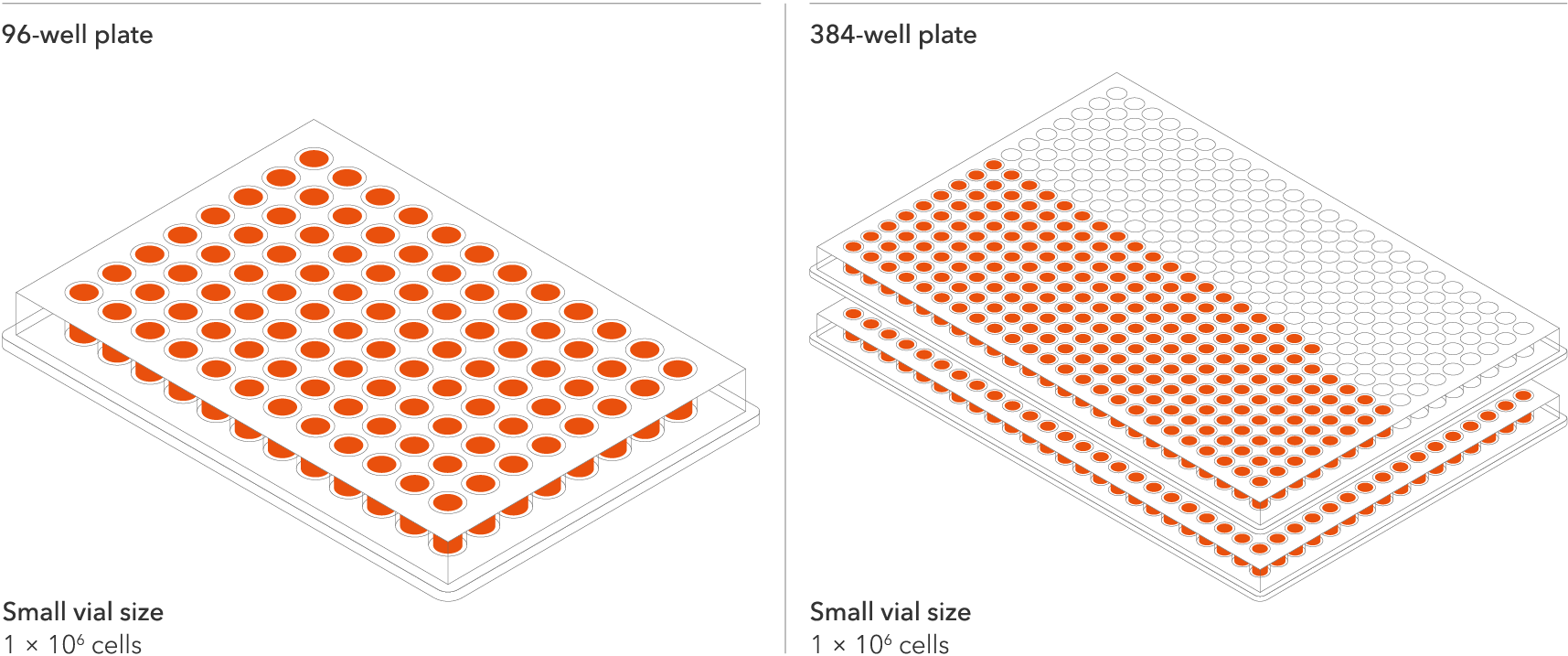 ioGlut-MAPT-P301S-P301S-well_plate-1