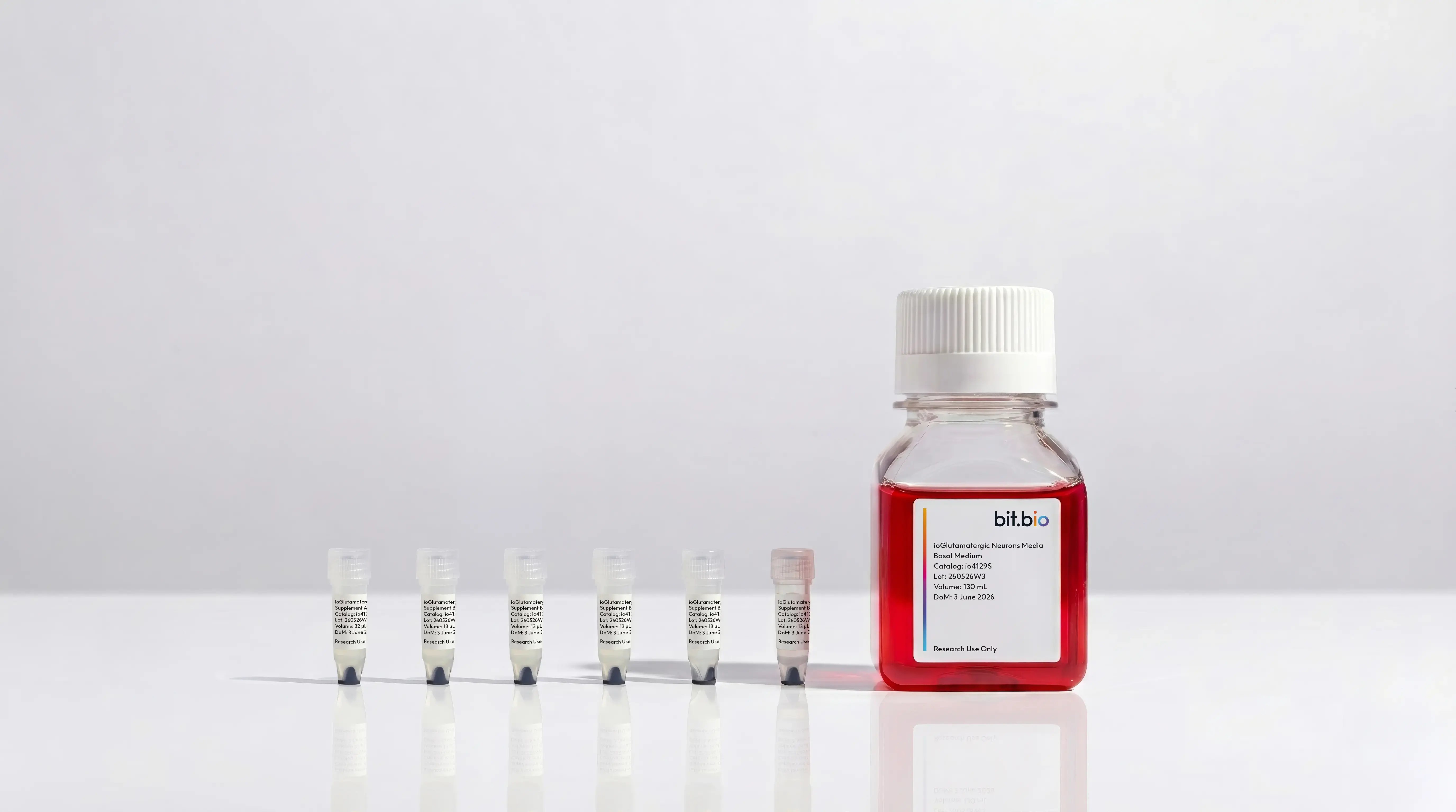 bitbio-ioGlutamatergic-Neurons-media-kits