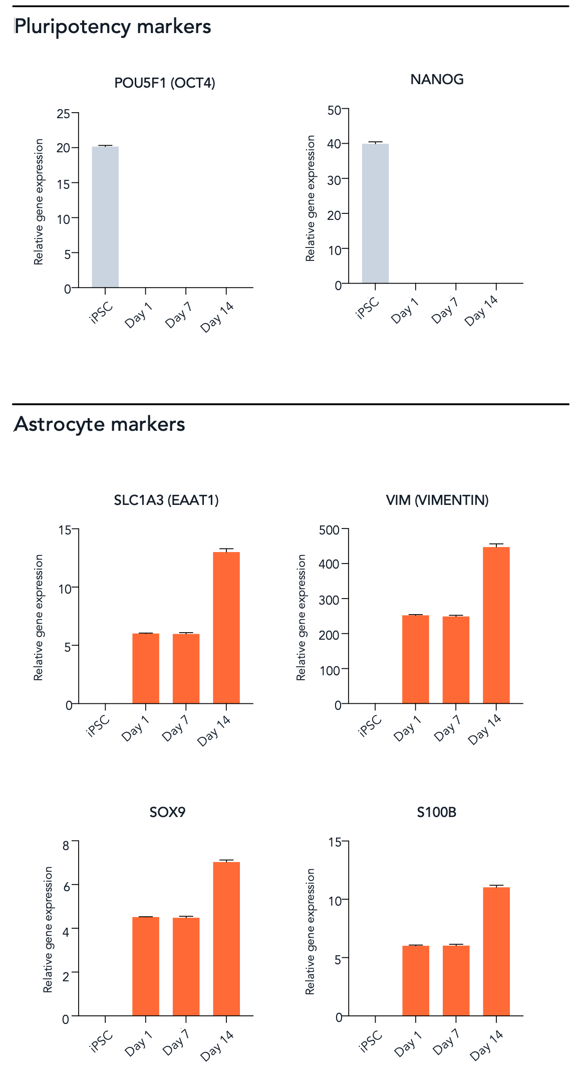 ioAstrocytes_2.0_RT-qPCR_NANOG_OCT4_EAAT1_VIM_SOX9_S100B_iPSC_D1_D7_D14