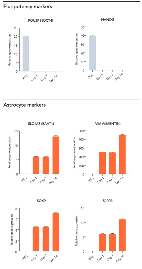 ioAstrocytes_2.0_RT-qPCR_NANOG_OCT4_EAAT1_VIM_SOX9_S100B_iPSC_D1_D7_D14