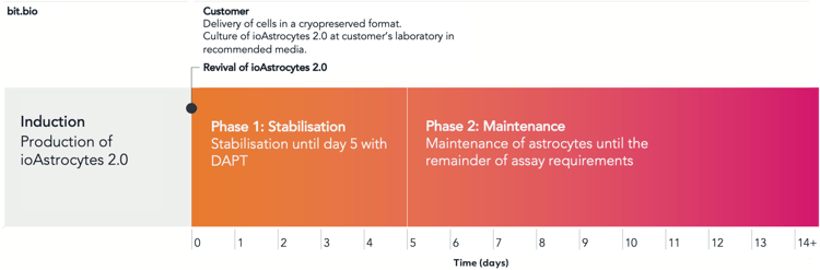 ioAstrocytes_2.0_User_timelines