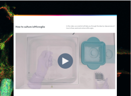 Tutorial video microglia email card