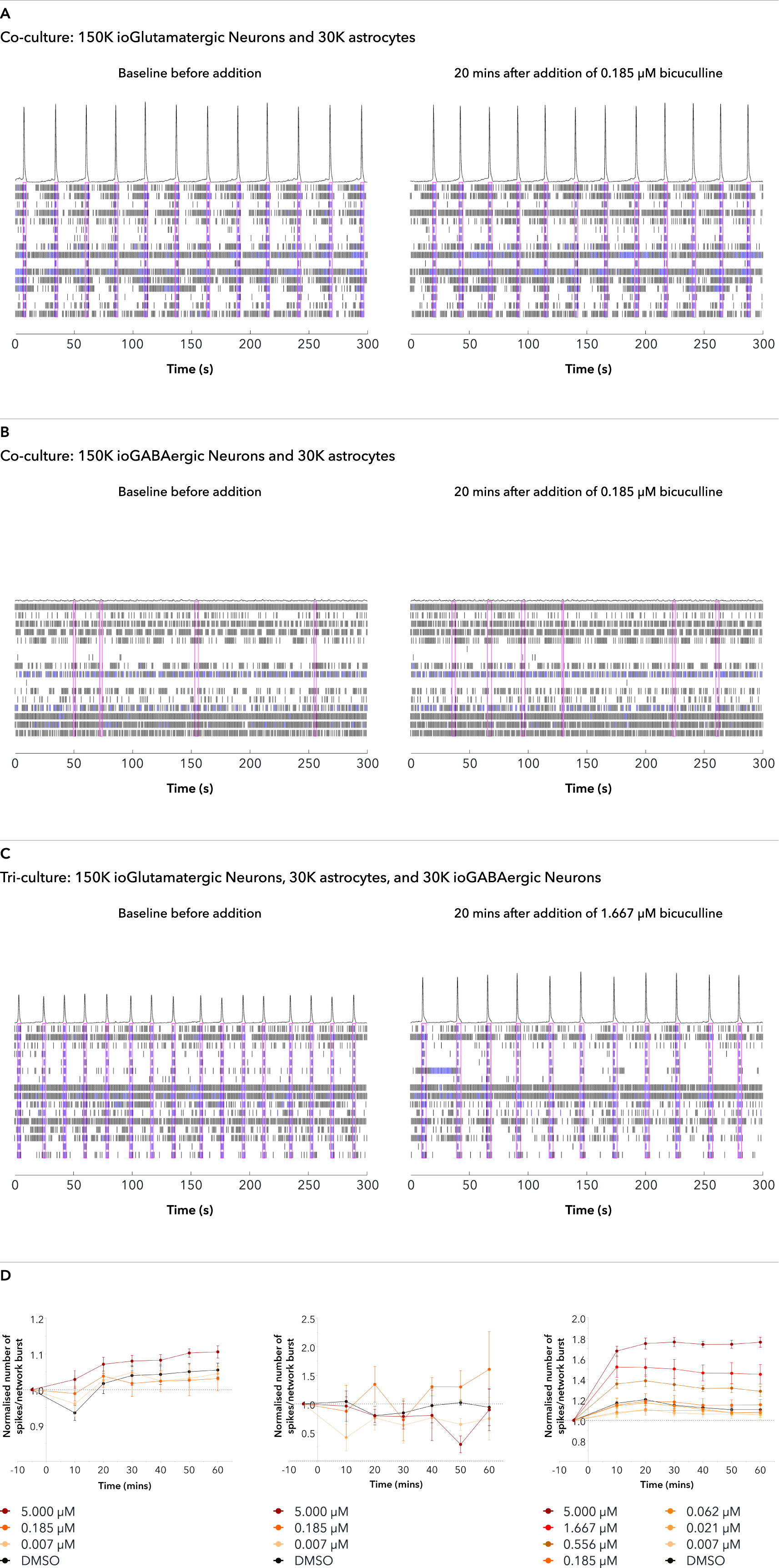 Addition of bicuculline to tri-cultures releases the inhibitory effect of the ioGABAergic Neuron_FINAL2
