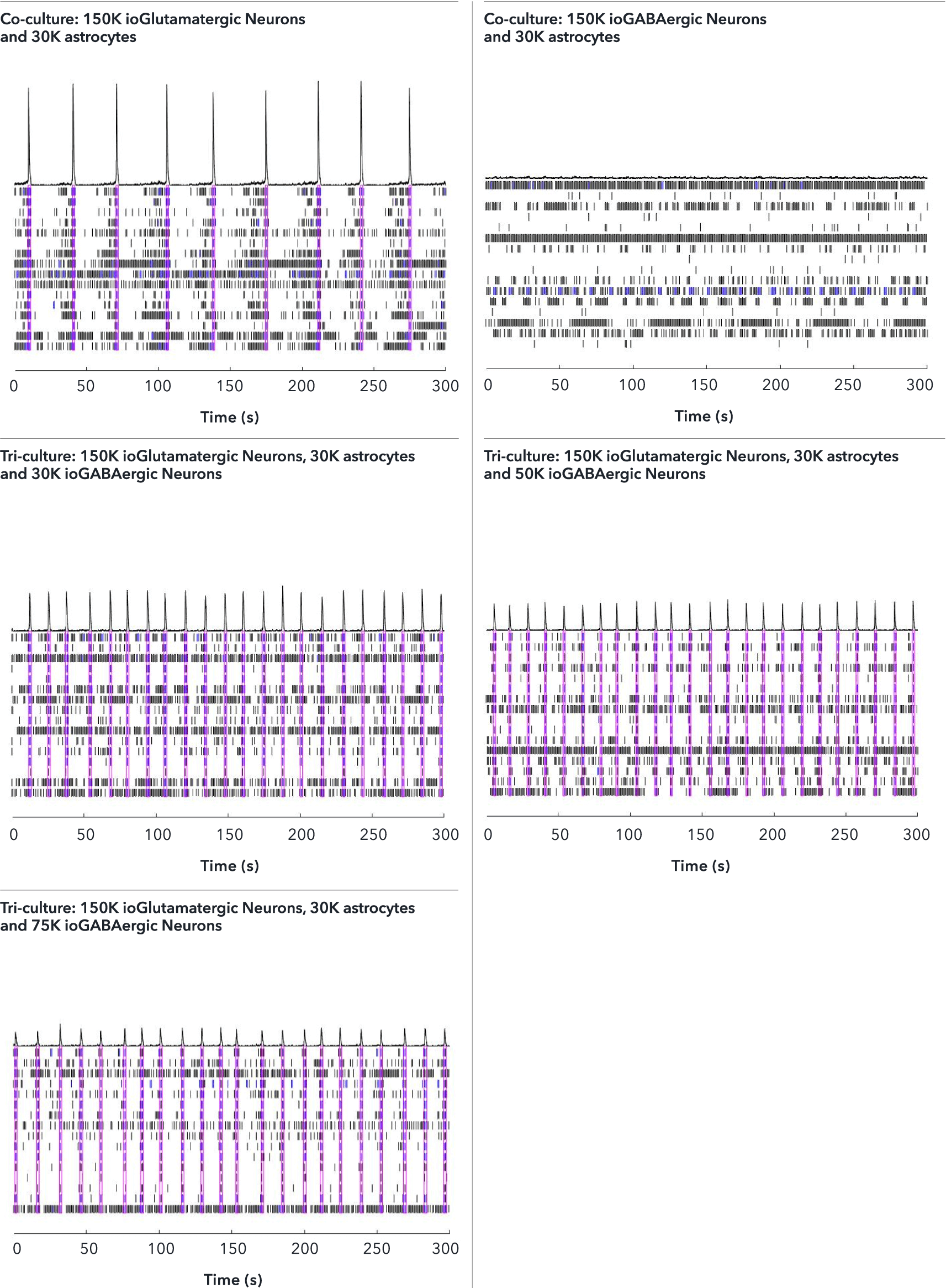 MEA raster plots showing ioGABAergic Neurons exert an inhibitory effect and modulate network activity within tri-cultures leading to a higher network burst rate