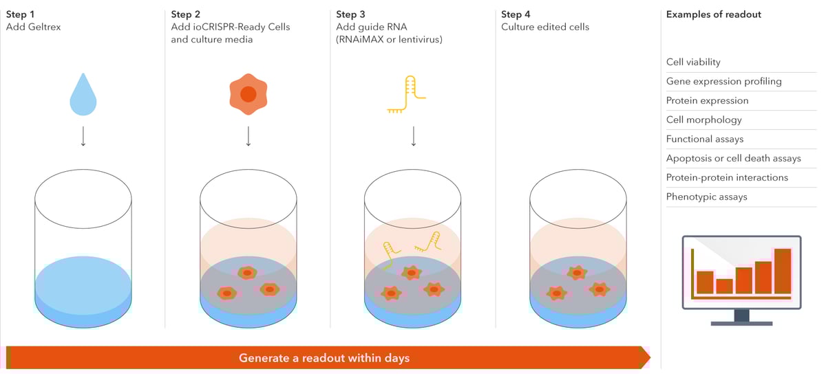 bitbio-ioCRISPR-webpage_diagrams-V5
