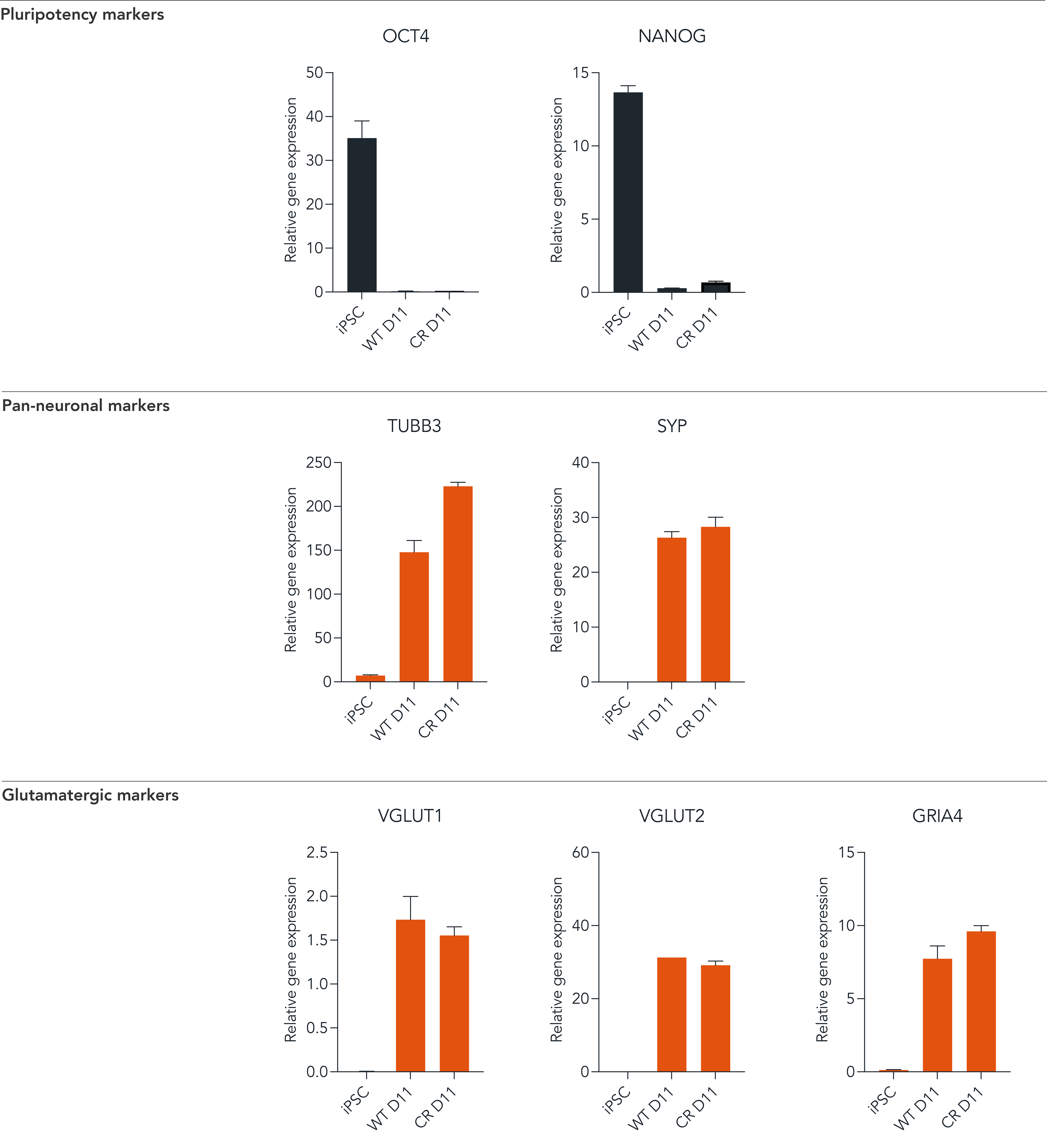 ioGlutamatergic-Neurons-CRISPR-Ready-RT-qPCR