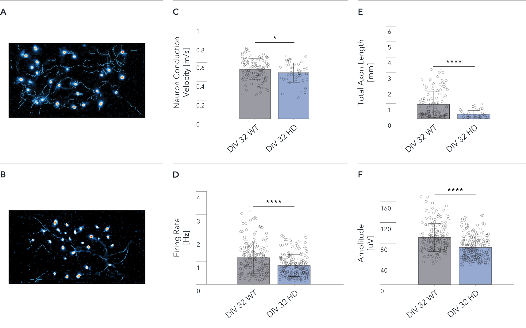 bit.bio MEA analysis of Huntington's disease model cells; single cell analysis