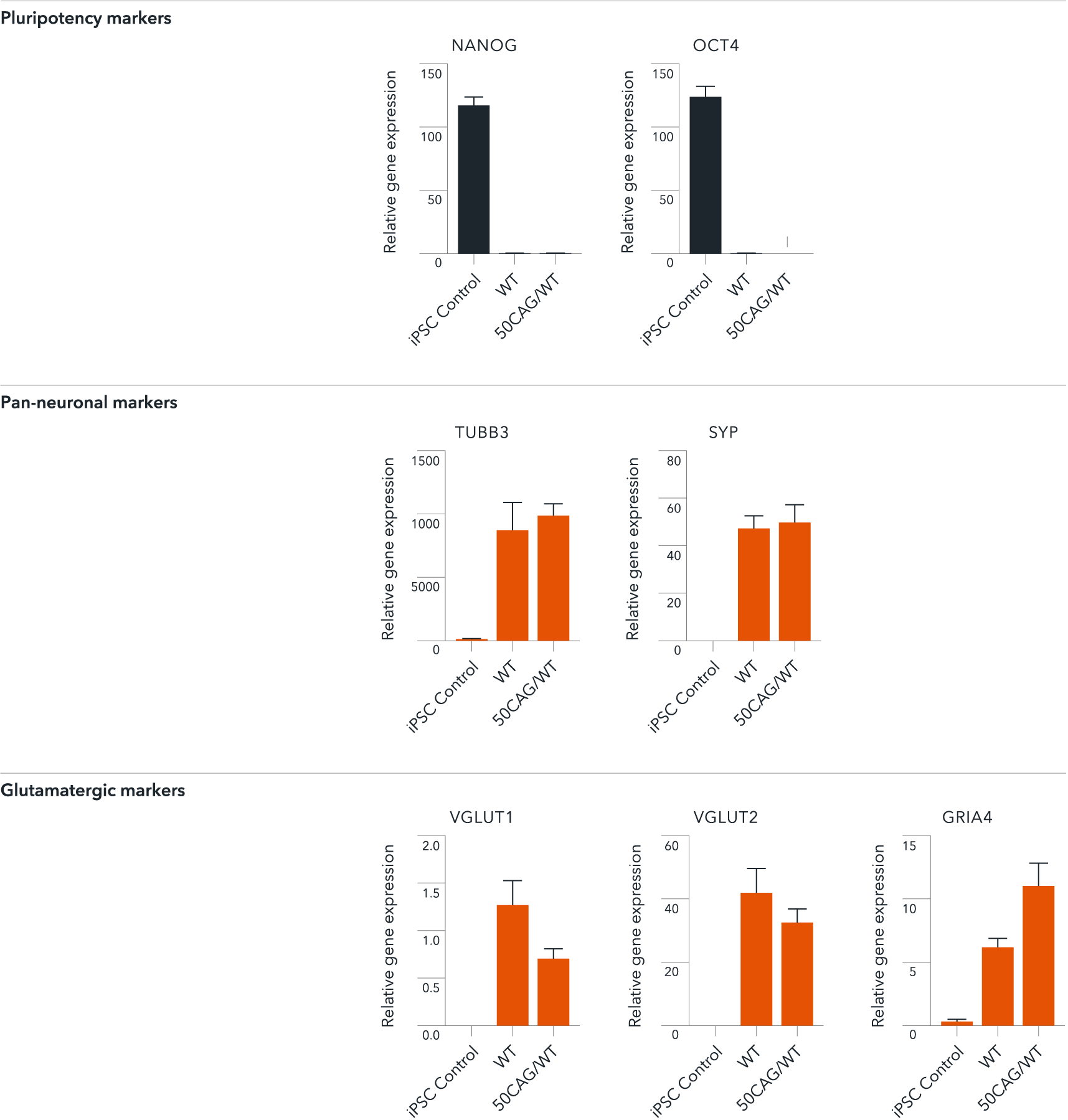 bit.bio glutamatergic neurons Huntington's disease model gene expression by RT-qPCR