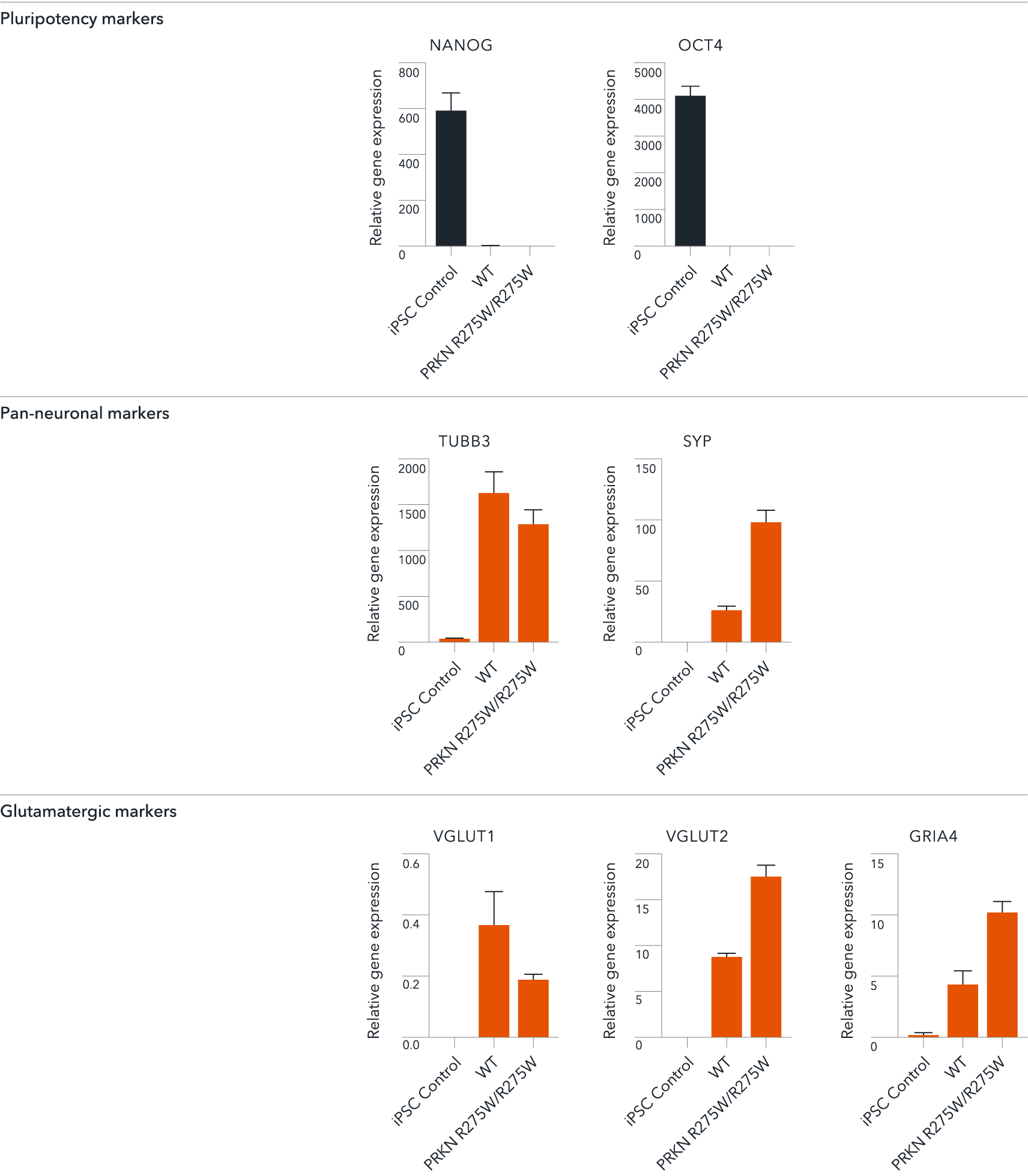 RT-qPCR of ioGlutamatergic Neurons PRKN R275W hom showing expression of pan neuronal and glutamatergic markers