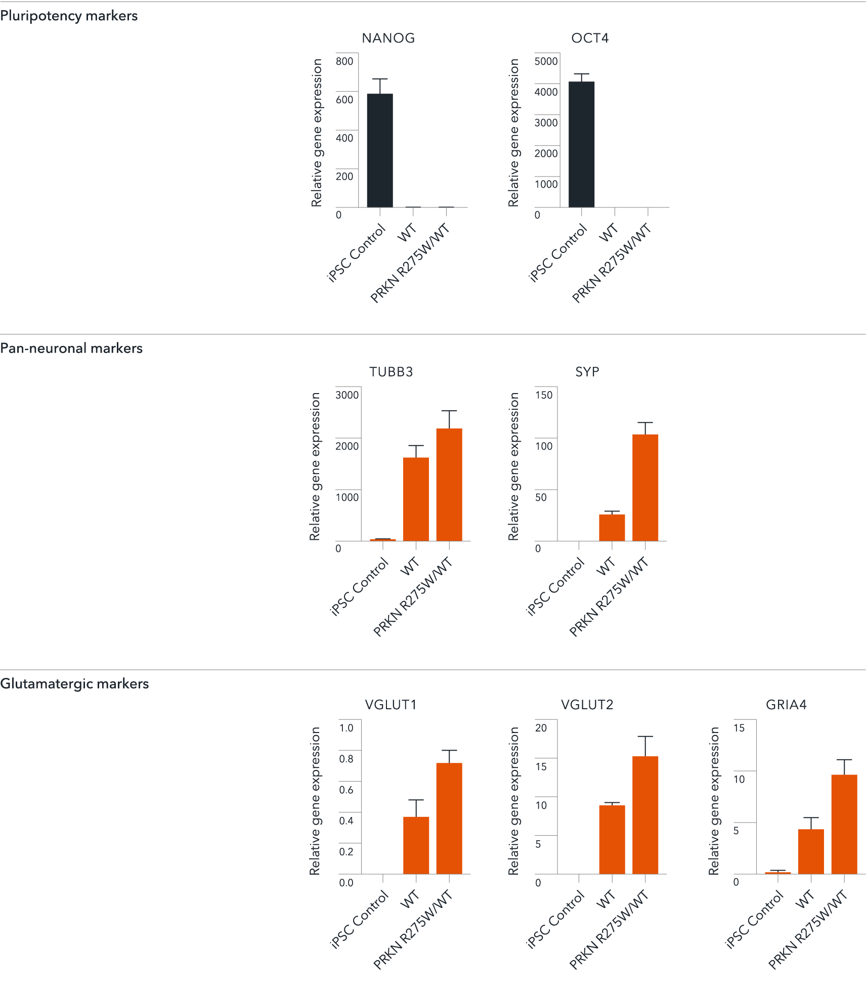 RT-qPCR of ioGlutamatergic Neurons PRKN R275W hom showing expression of pan neuronal and glutamatergic markers