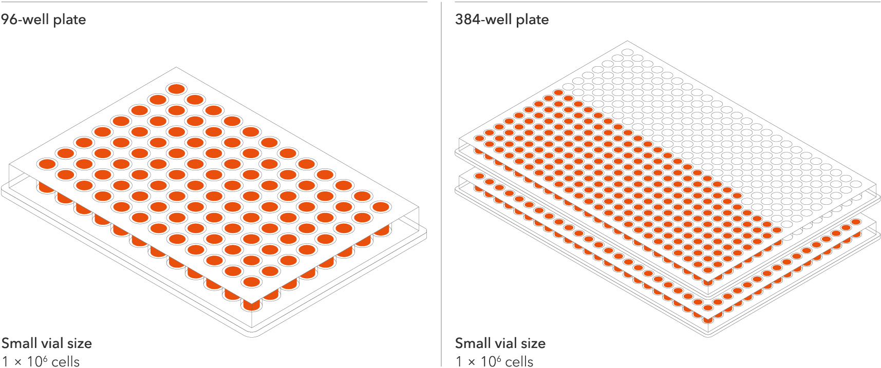 One small vial seeds 1 x 96-well plate or 1.5 x 384-well plates.