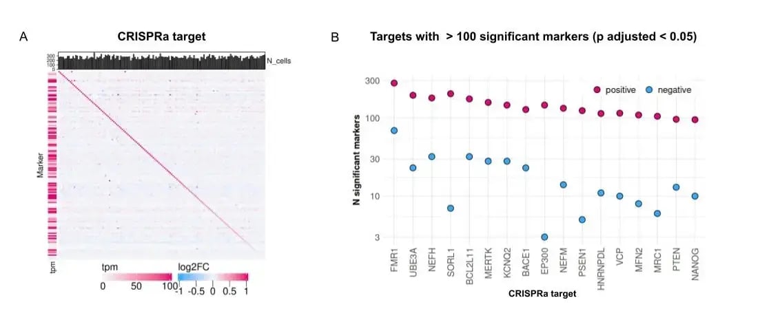 CRISPRa_Poolscreen_ioGlutamatergic_Neurons