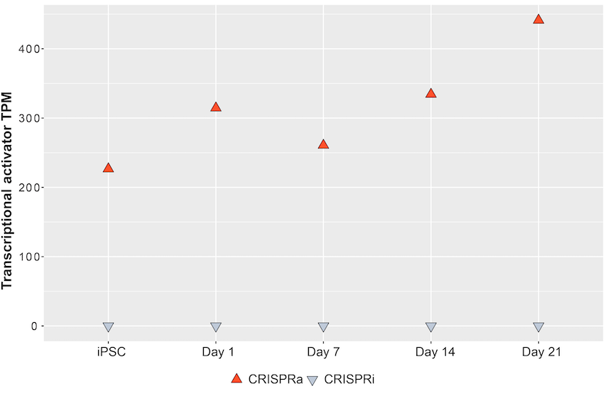 Bulk RNA-seq of CRISPRa-ready Glutamatergic Neurons shows no silencing of the transcriptional activator