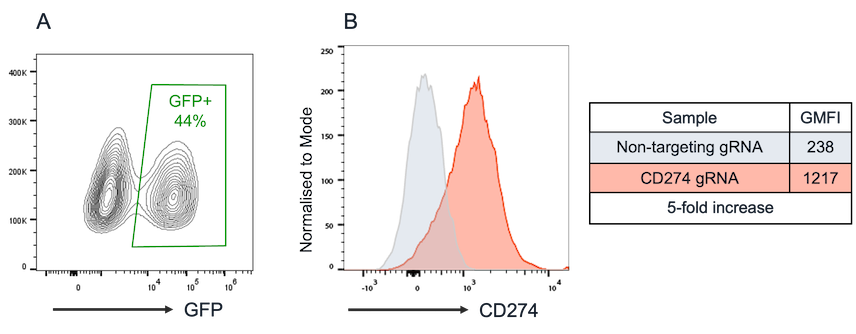 io1099S-CRISPRa-ready-glutamatergic-neurons-CD274-activation-flow-cytometry