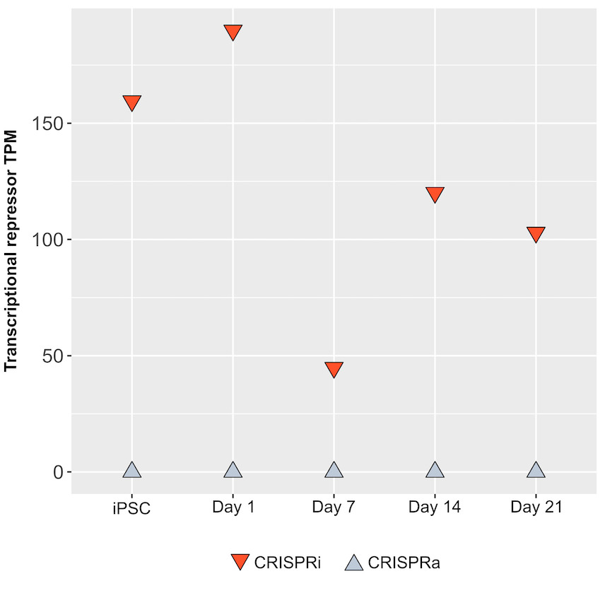 Bulk- RNA-seq shows no silencing of transcriptional repressor in CRISPRi-Ready glutamatergic neurons