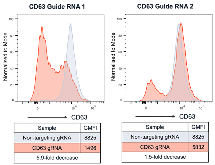 bit.bio CRISPRi-Ready Glutamatergic Neurons CD63 repression flow-cytometry