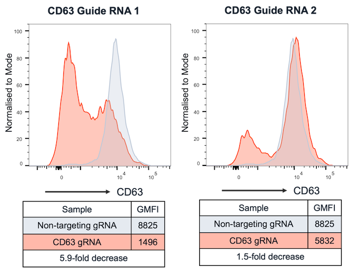 bit.bio CRISPRi-Ready Glutamatergic Neurons CD63 repression flow-cytometry