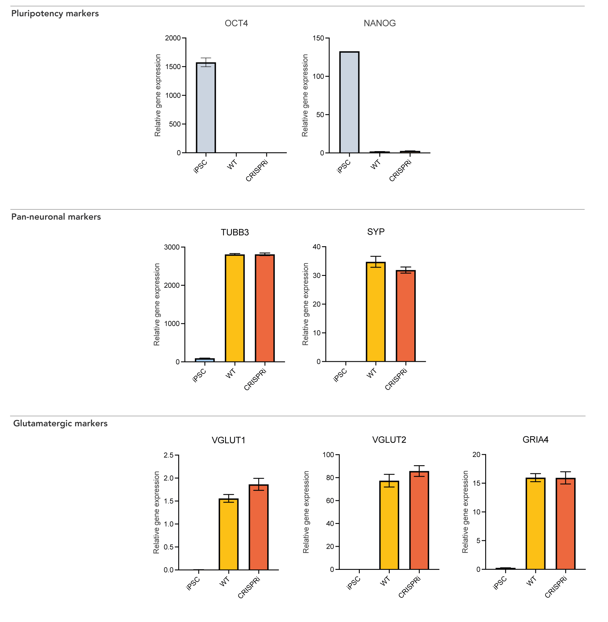 Gene expression of neuronal markers in CRISPRi-Ready Glutamatergic Neurons by RT-qPCR