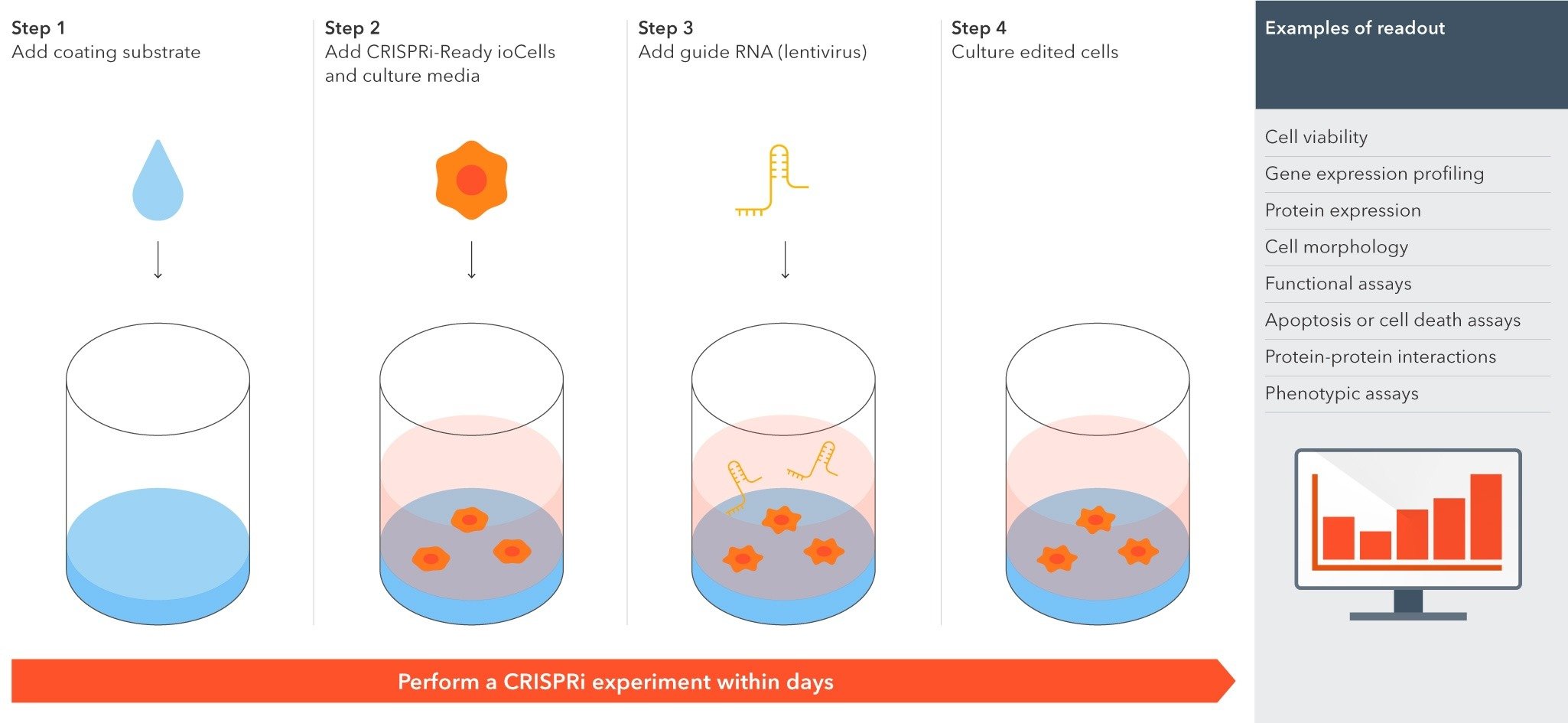 bitbio-CRISPRi-ready-glutamatergic-neurons-workflow-lentivirus-1
